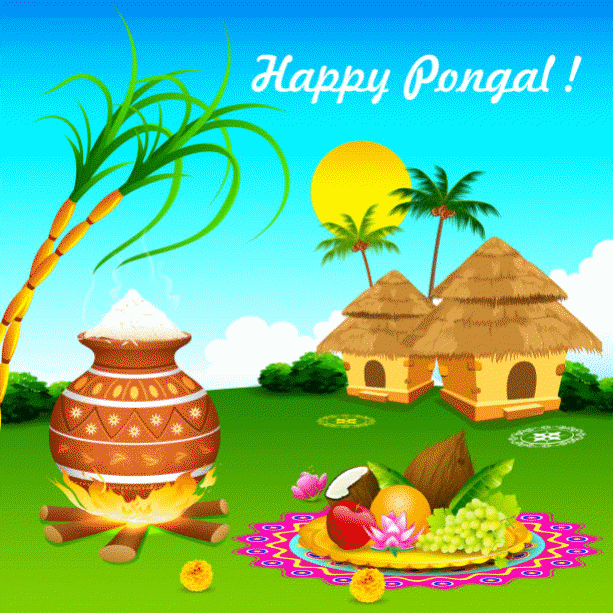 happy-pongal-greetings-html-5cd982717f4bf331.gif