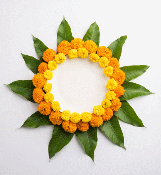 makar-sankranti-rangoli-designs-html-fe21a1e7f039c894.gif