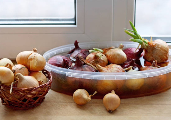 Best Onion Potato Garlic Storage Container for  Kitchen