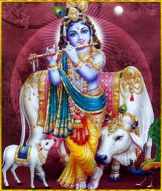 why-govardhan-puja.jpg
