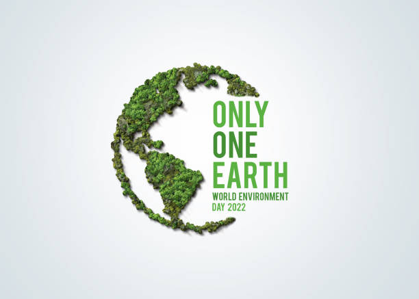 World Environment Day3