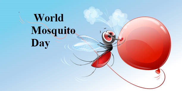 World Mosquito Day5