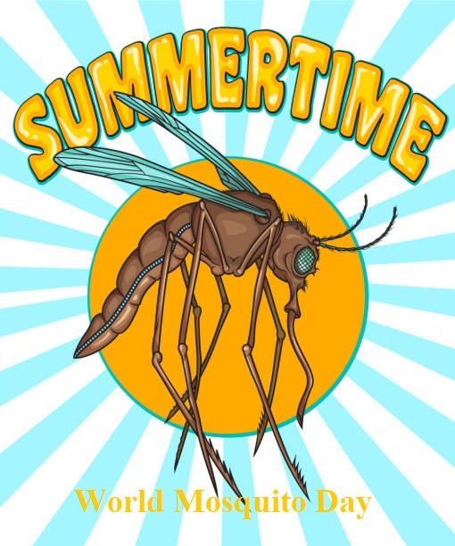 World Mosquito Day8-2